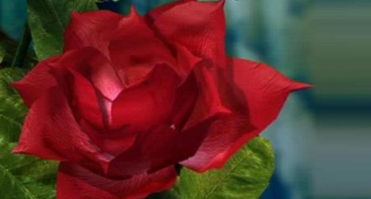 sd-bad-sba-ayn-ja-hmyd-asdyan-kazm-mstfwy